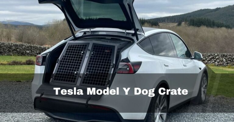 Tesla Model Y Dog Crate – Sharing My Tested Strategies 2024